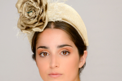 Head shot at a miller shoot